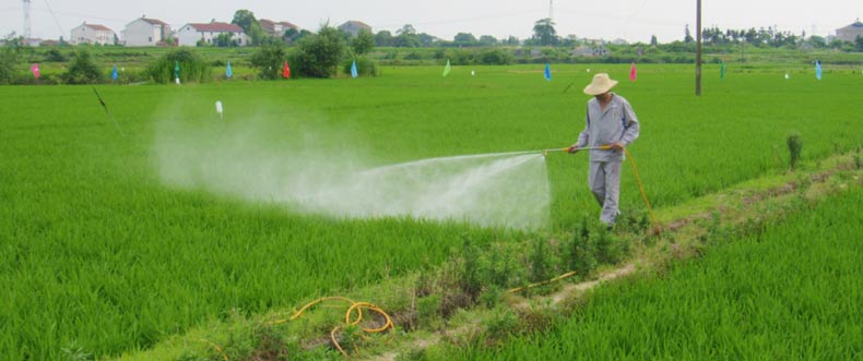 湖南豐茂植保機(jī)械有限公司,湖南豐茂植保機(jī)械,豐茂植保機(jī)械,噴霧機(jī),殺蟲(chóng)燈,殺蟲(chóng)燈哪家好